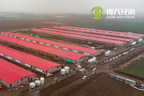 ãПълен проектãShandong Zhucheng4800 свинеферма