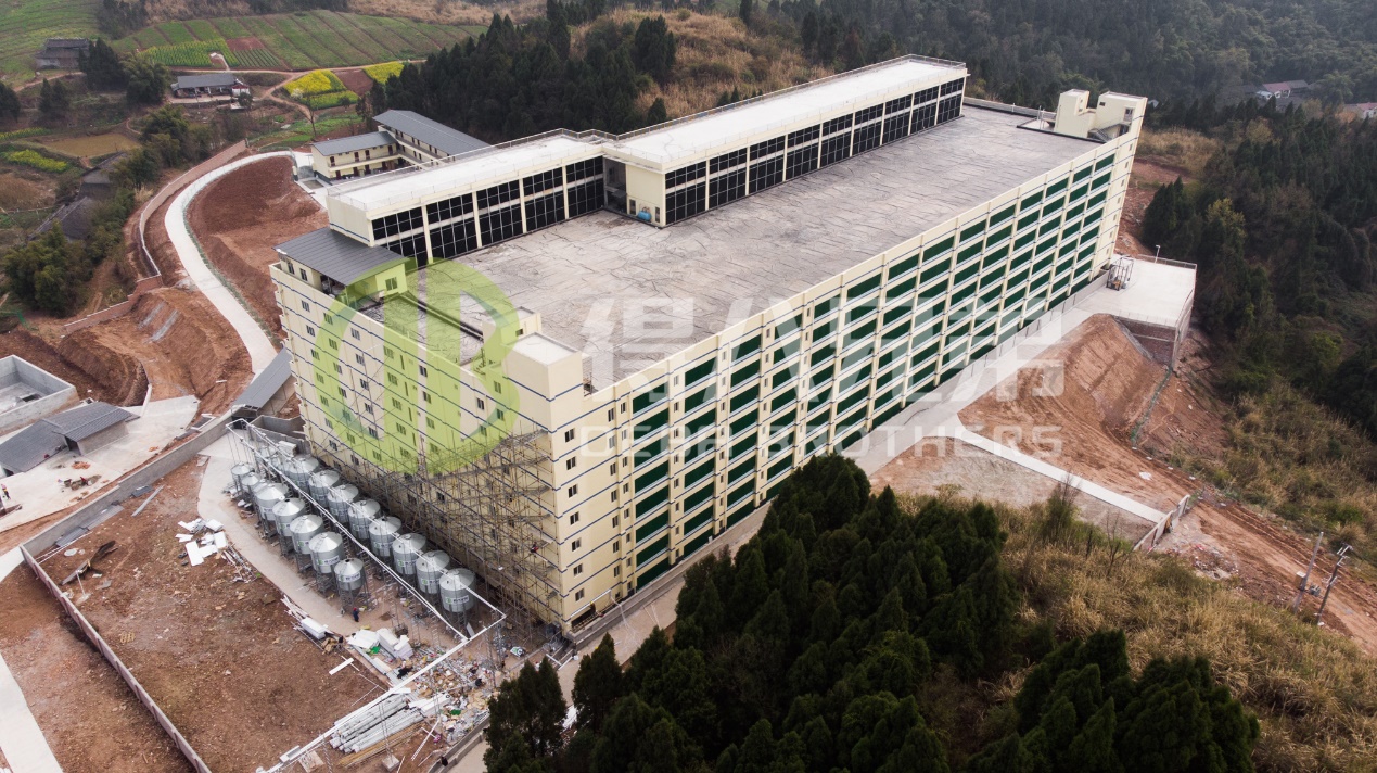 Как да подобрим качеството на околната среда в съвременния дизайн на свинеферма