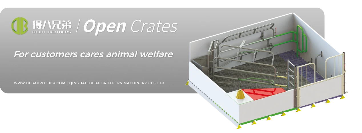 Отвореното легло за свине DEBA Brothers е световно признато с удобния си дизайн