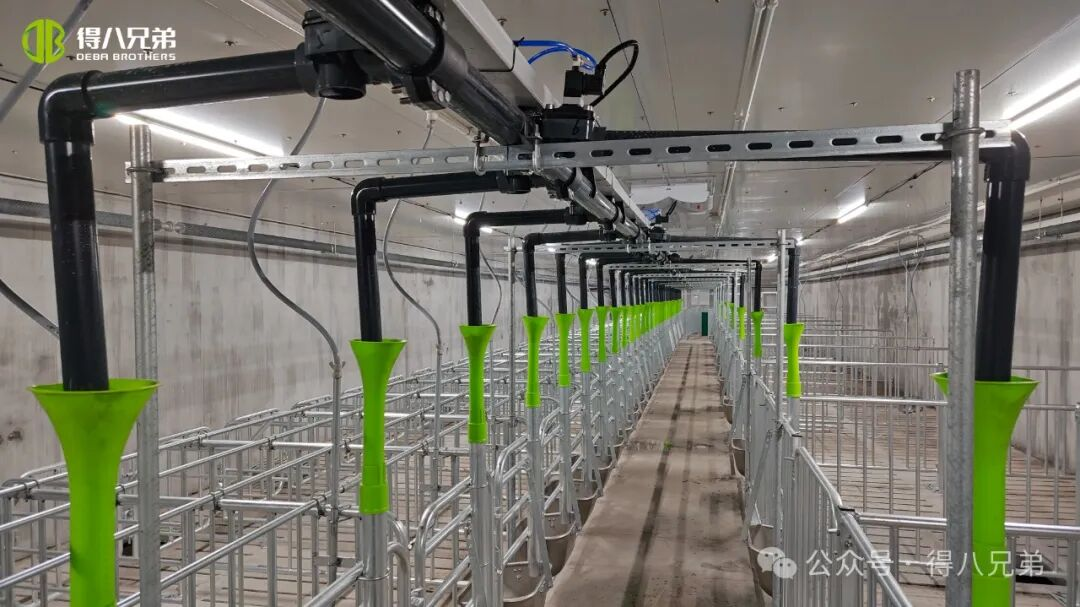 Демонстрационна база за развъждане и култивиране на черни свине Deba Brother Licha - Интегрирани операции с 2000 свине майки, 50 000 годишно клане, 67 000 квадратни метра